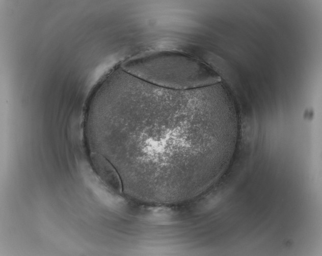 X0000113570395200910091443