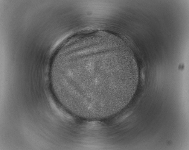 X0000113570396200910091443