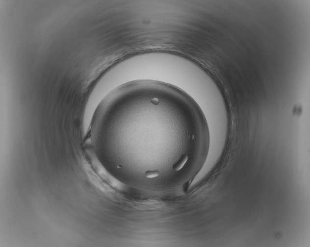 X0000113570397200910091443