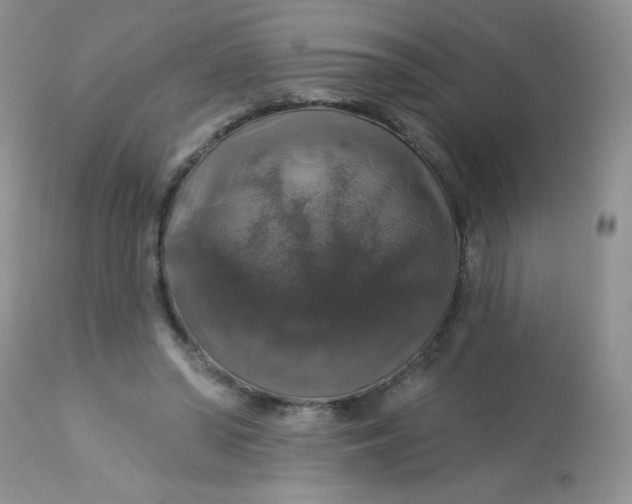 X0000113570398200910091443