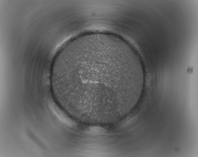 X0000113570399200910091443