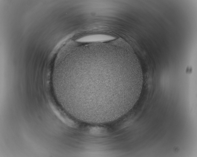 X0000113570400200910091443