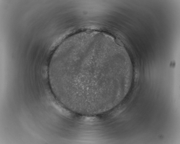 X0000113570401200910091443