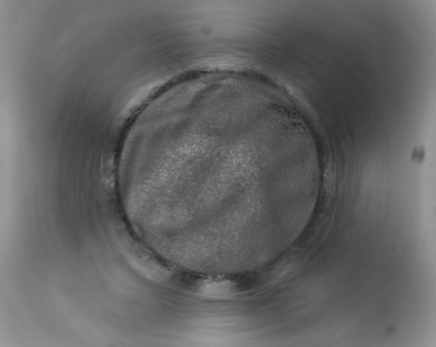 X0000113570403200910091443