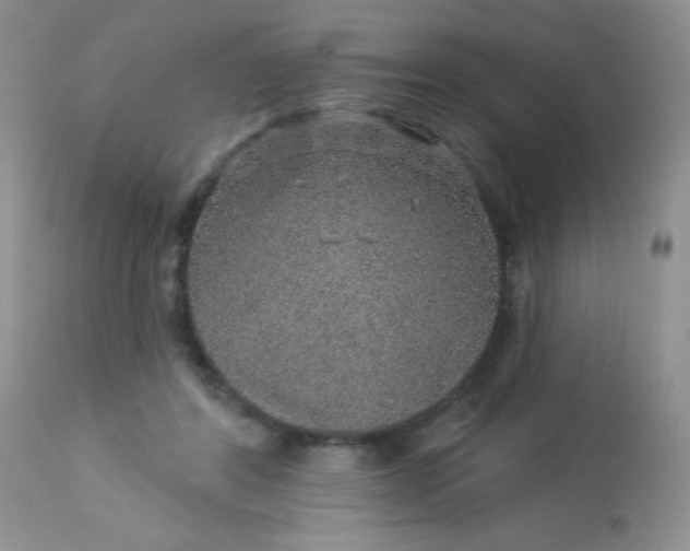 X0000113570404200910091443