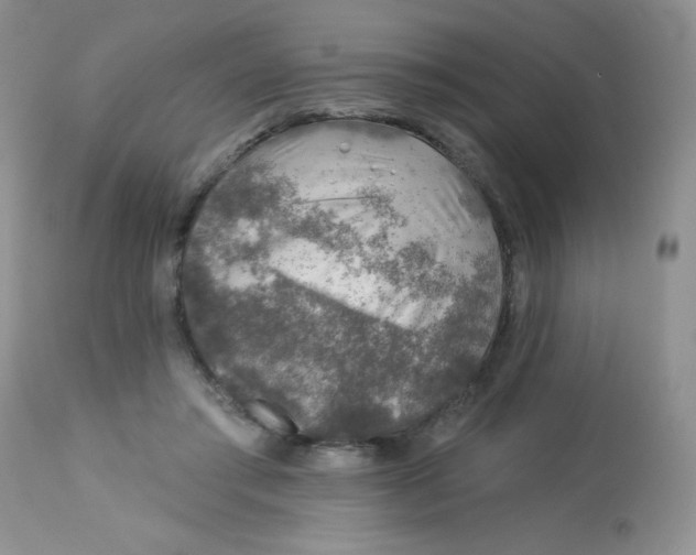 X0000113570405200910091443