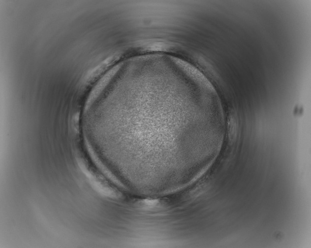 X0000113570406200910091443