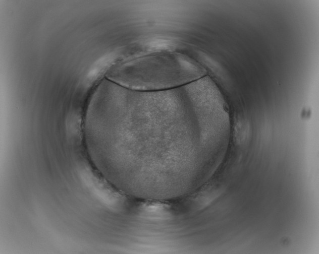 X0000113570407200910091443