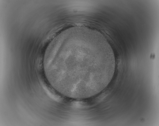 X0000113570408200910091443