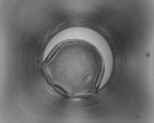 X0000113570409200910091443