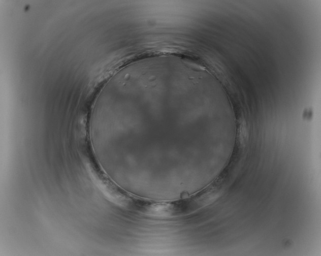 X0000113570410200910091443