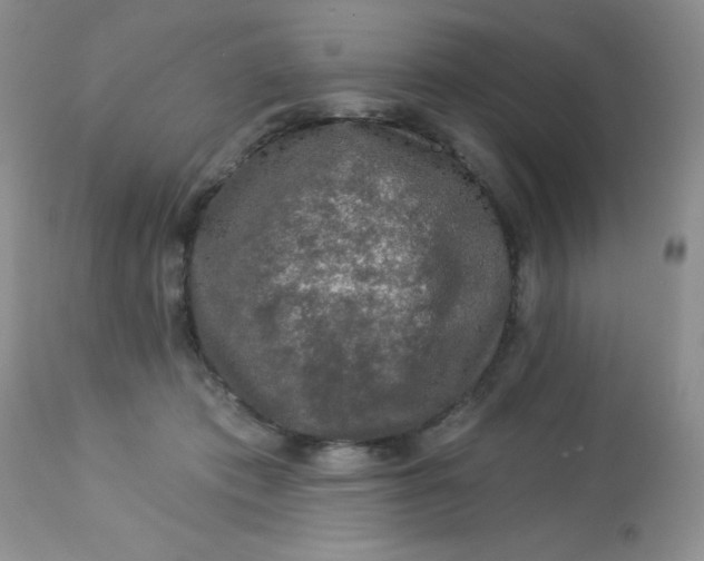 X0000113570413200910091443