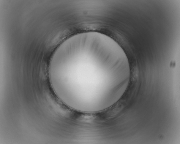 X0000113570414200910091443