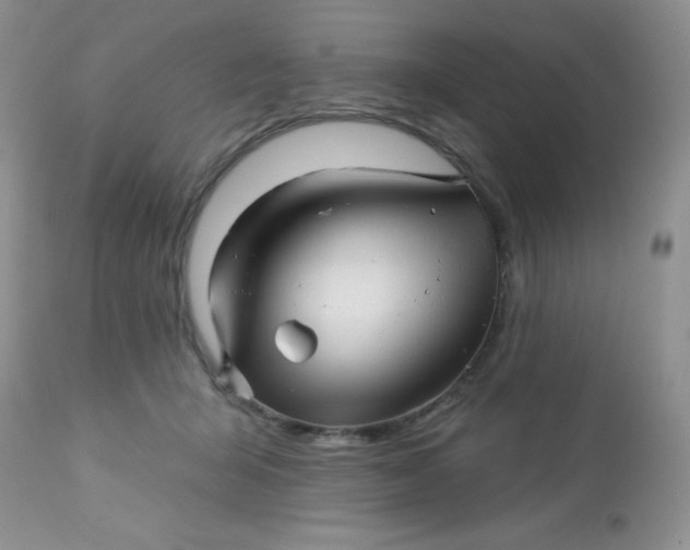 X0000113570415200910091443