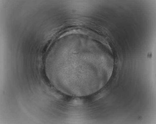 X0000113570416200910091443