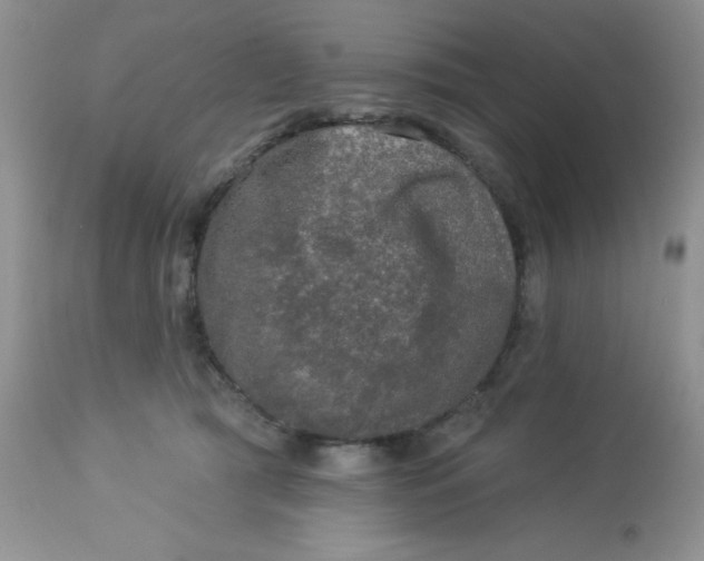 X0000113570417200910091443