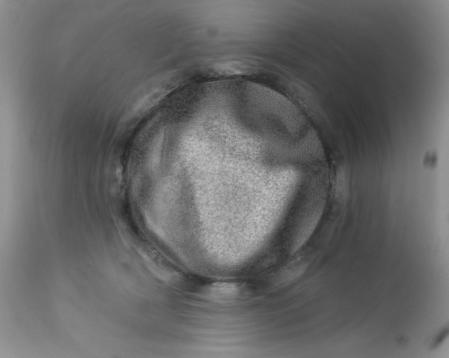 X0000113570418200910091443