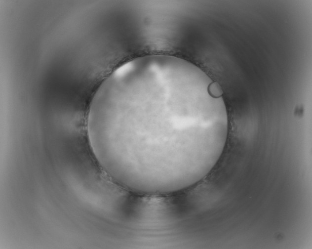 X0000113570419200910091443