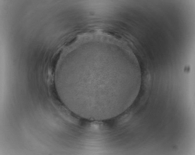 X0000113570420200910091443