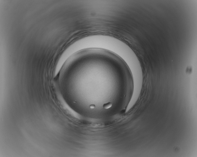 X0000113570421200910091443