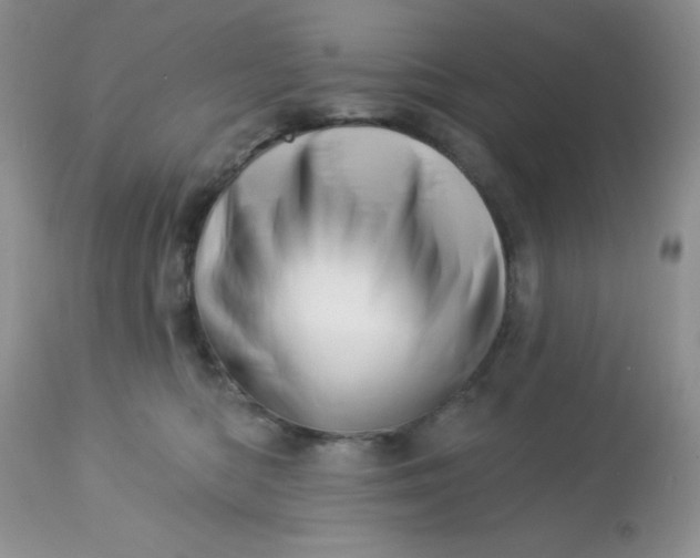 X0000113570422200910091443