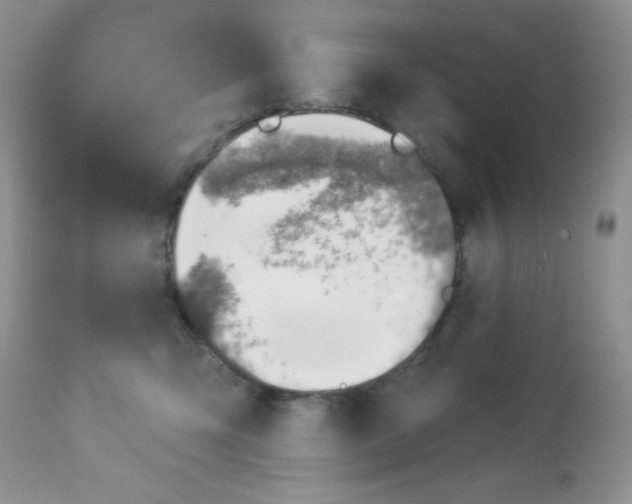 X0000113570423200910091443