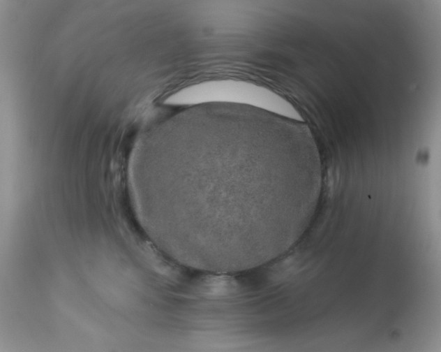 X0000113570424200910091443