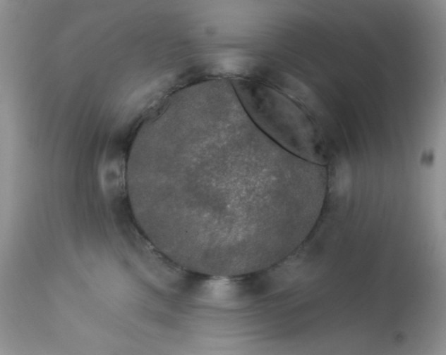 X0000113570425200910091443