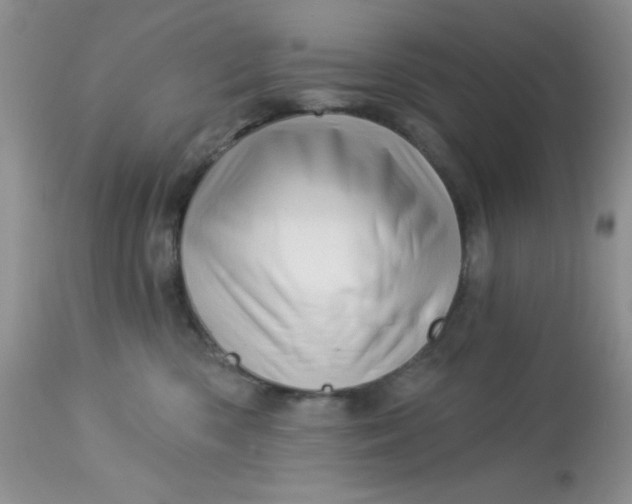 X0000113570426200910091443