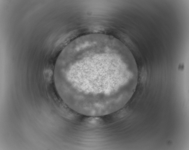 X0000113570427200910091443