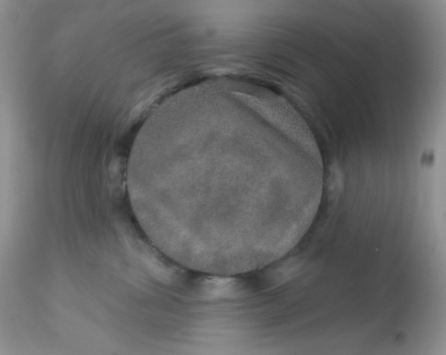 X0000113570428200910091443