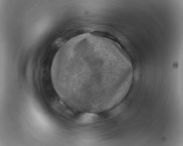 X0000113570429200910091443