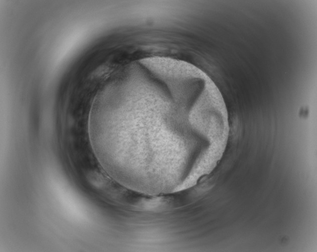 X0000113570430200910091443