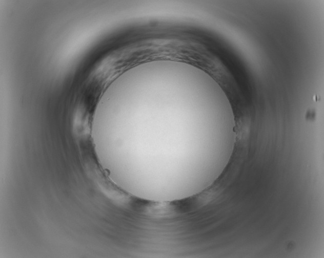 X0000113570431200910091443