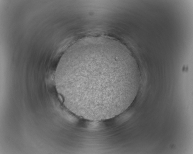 X0000113570432200910091443