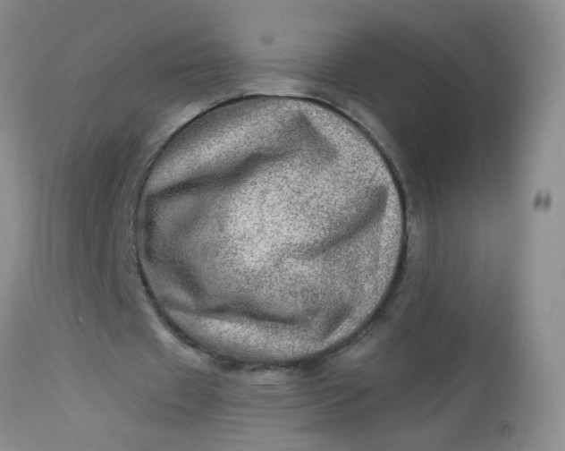 X0000113570433200910091442