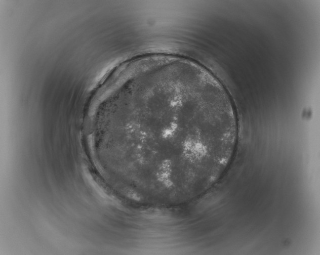 X0000113570434200910091442