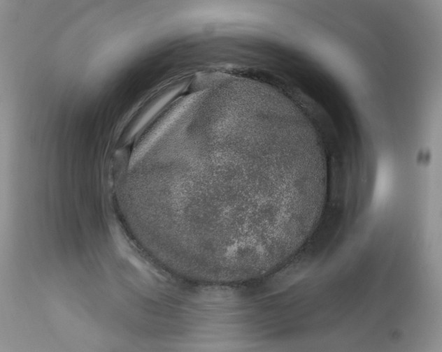 X0000113570435200910091442