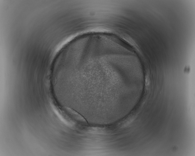 X0000113570436200910091442