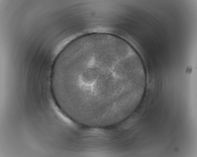 X0000113570437200910091442