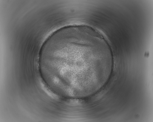 X0000113570439200910091442