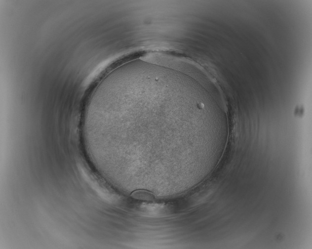 X0000113570440200910091442