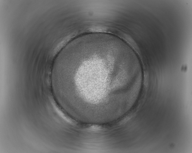 X0000113570441200910091442