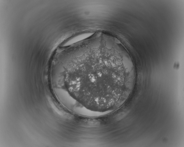 X0000113570443200910091442