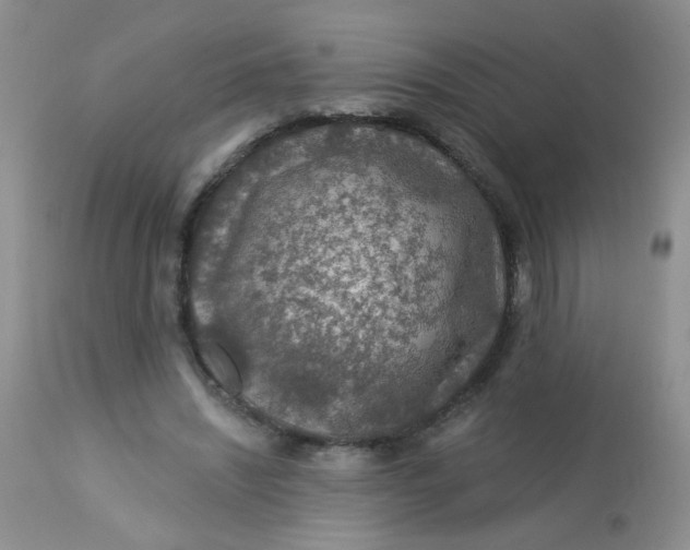 X0000113570444200910091442