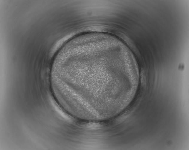 X0000113570445200910091442