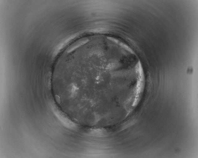 X0000113570446200910091442