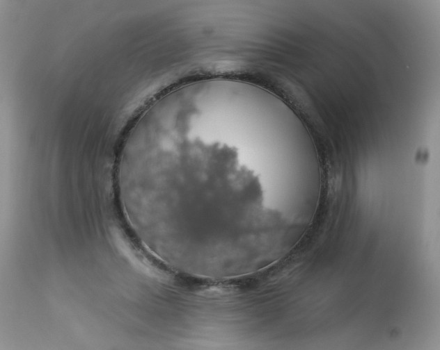 X0000113570447200910091442