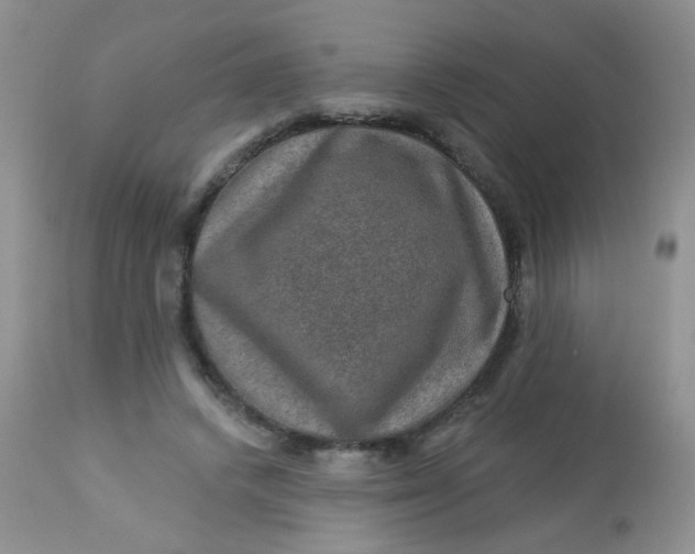 X0000113570448200910091443