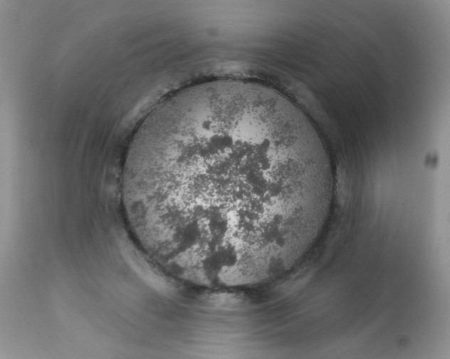 X0000113570449200910091443